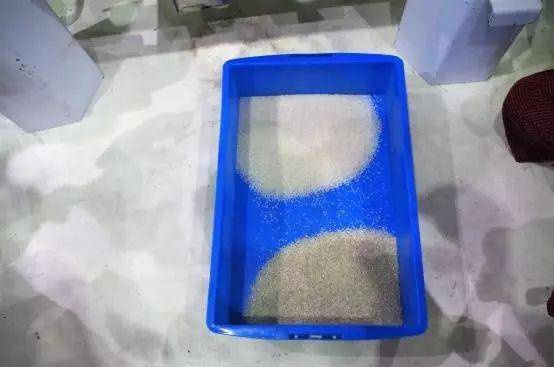 砥礪奮進的五年 安徽省肥西縣探索文明創建新路徑 大米色選機助力產業升級